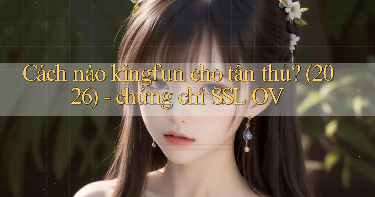 Cách nào kingfun cho tân thủ (2026)   chứng chỉ SSL OV